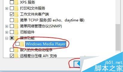 Win10系統刪除Windows Media Player12的步驟5.2