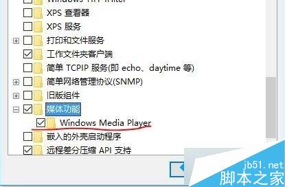 Win10系統刪除Windows Media Player12的步驟5
