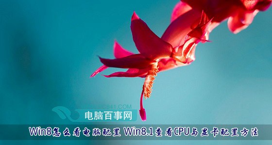 Win8怎麼看電腦配置 Win8.1查看CPU與顯卡配置方法