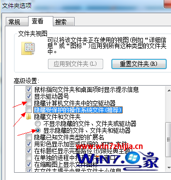 勾選“顯示隱藏的文件、文件夾和驅動器”項