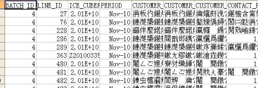 亂碼的情況