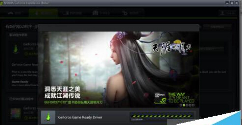 windows10系統更新NVIDIA英偉達顯卡驅動的步驟5