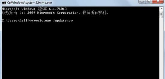 Windows10在cmd中輸入wuauclt.exe /updatenow