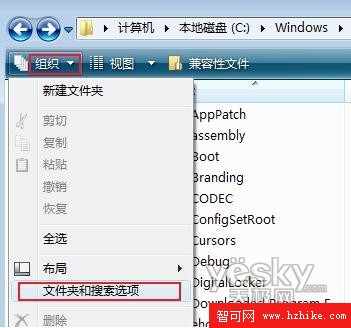 Vista操作系統中文件擴展名如何顯示1