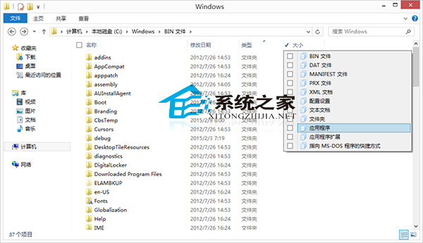  Win8.1文件夾如何篩選某一類型文件