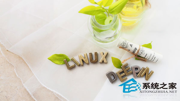 Linux系統格式化分區時提示Could not start /dev怎麼辦？