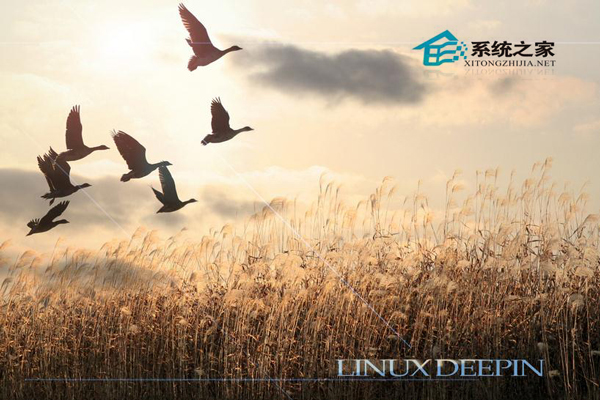  如何在Linux系統下查找可執行文件