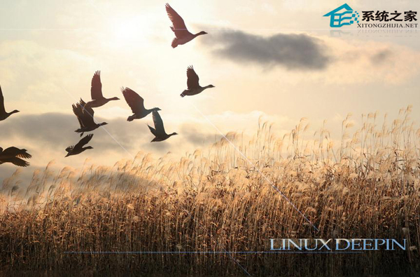  Linux下需謹慎使用的命令匯總