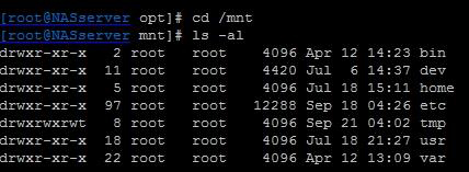  NAS存儲故障導致Linux不能正常啟動該如何處理？