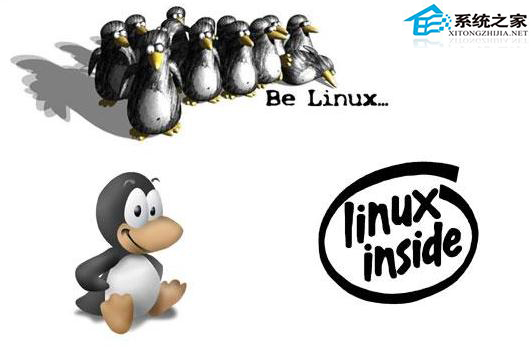  mkdir命令在Linux中的應用