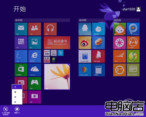 Windows 8.1