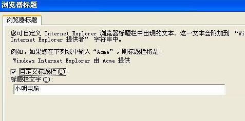 XP系統下給浏覽器標題添加文字的步驟3