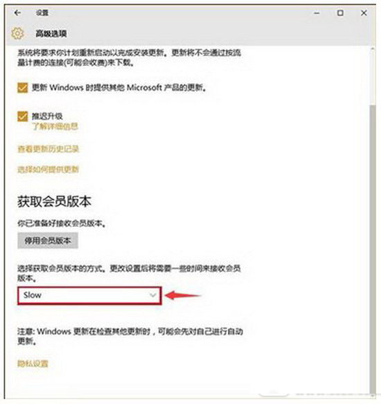 win10預覽版怎麼更新 win10預覽版更新升級圖文教程4