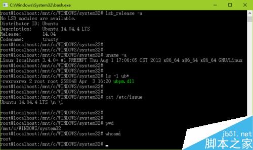 在新版 Win10 中啟用 Linux Bash 環境