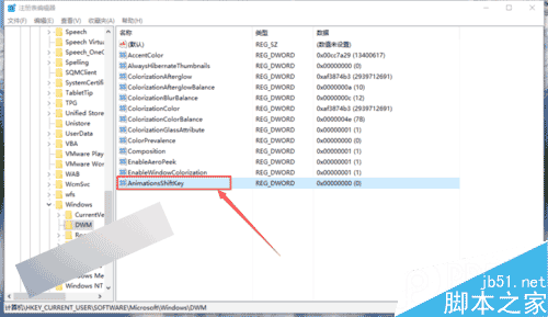 Win10系統怎麼設置窗口動畫慢放