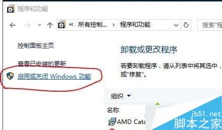 Win10系統刪除Windows Media Player12的步驟3