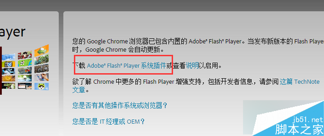 點擊“Adobe® Flash® Player系統插件