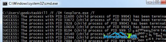 輸入代碼taskkill /F /IM iexplore.exe