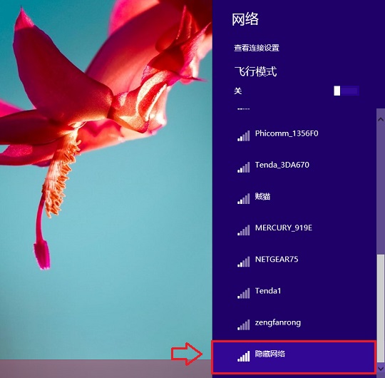 隱藏網絡怎麼連接 Win8.1連接隱藏SSID網絡方法