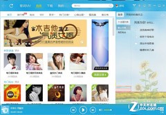 測300款軟件Win8.1兼容性:網絡播放器篇 
