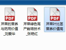 CAJ文件變成PDF文件