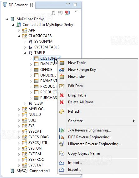 MyEclipse數據庫教程數據庫工具