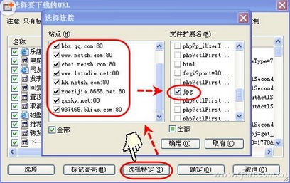 網頁資料復制不了怎麼辦