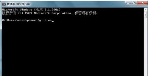 輸入 powercfg -h on 